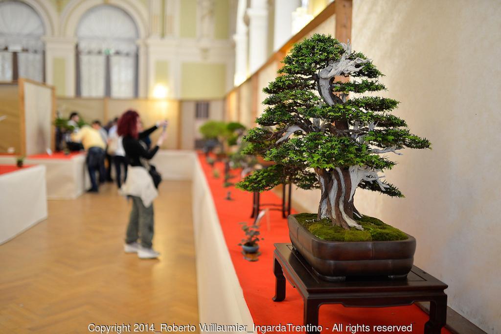 Albergo Ristorante Da Neni モーリ エクステリア 写真